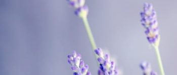 WhatsApp Image 2025-10-16 at 20.47.00_0d87b86a